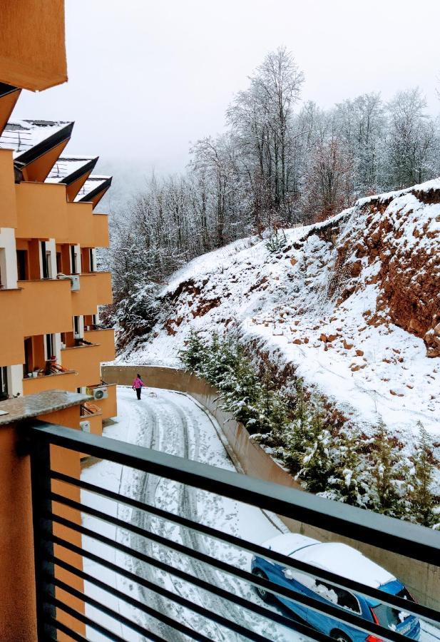 Andrey Daire Mavrovo Dış mekan fotoğraf